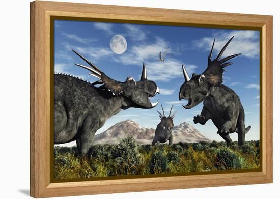 Confrontation Between Male Styracosaurus Dinosaurs-null-Framed Stretched Canvas