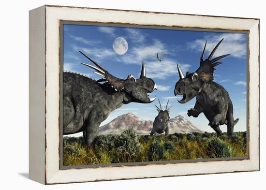 Confrontation Between Male Styracosaurus Dinosaurs-null-Framed Stretched Canvas