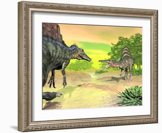 Confrontation Between Two Spinosaurus Dinosaurs-null-Framed Art Print