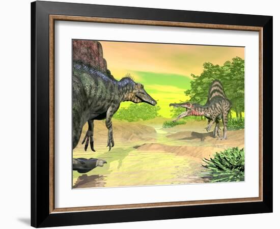 Confrontation Between Two Spinosaurus Dinosaurs-null-Framed Art Print