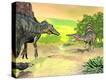 Stretched Canvas Print
