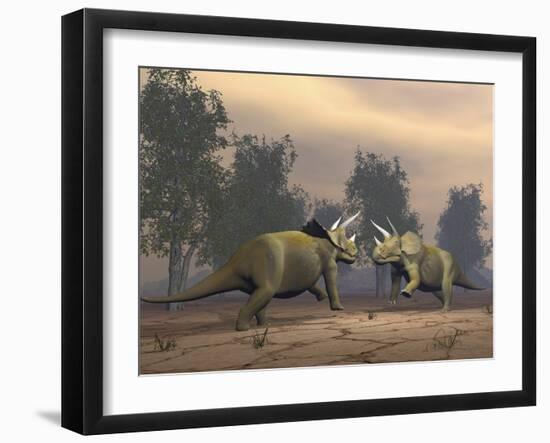 Confrontation Between Two Triceratops-null-Framed Art Print