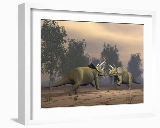 Confrontation Between Two Triceratops-null-Framed Art Print