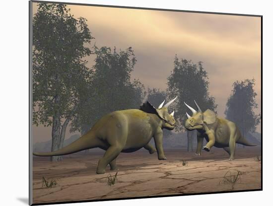 Confrontation Between Two Triceratops-null-Mounted Art Print