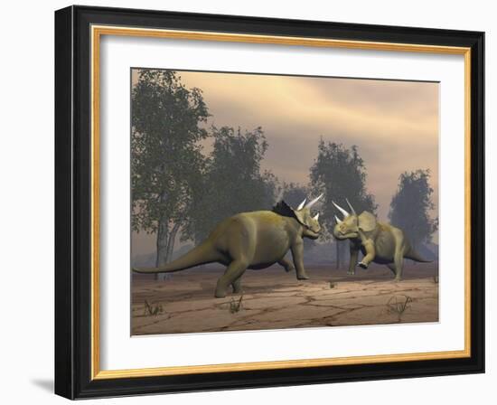 Confrontation Between Two Triceratops-null-Framed Art Print