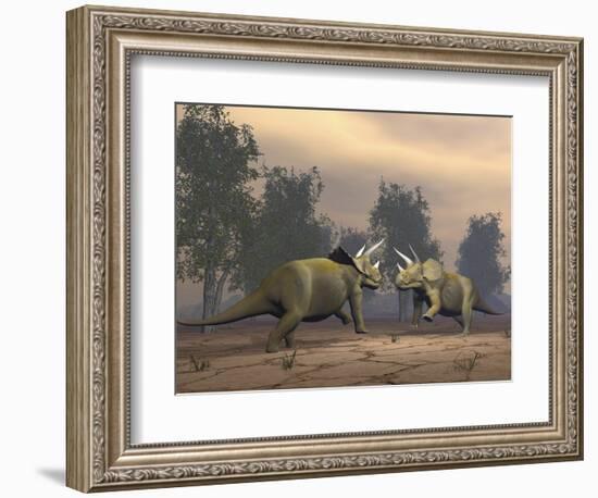 Confrontation Between Two Triceratops-null-Framed Premium Giclee Print