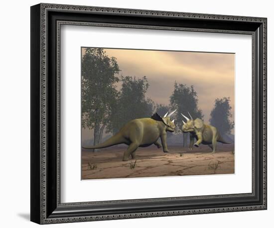 Confrontation Between Two Triceratops-null-Framed Premium Giclee Print