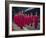 Confucian Ceremony, Chonghyo Shrine, Seoul, South Korea, Korea, Asia-Alain Evrard-Framed Photographic Print