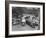 Congestion of Streetcars Going Both Ways around One Side of Dupont Circle-null-Framed Photographic Print