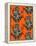 Congo Tree Frog Orange-Sharon Turner-Framed Stretched Canvas