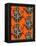 Congo Tree Frog Orange-Sharon Turner-Framed Stretched Canvas