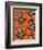 Congo Tree Frog Orange-Sharon Turner-Framed Art Print