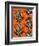 Congo Tree Frog Orange-Sharon Turner-Framed Art Print