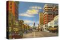 Stretched Canvas Print