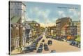 Stretched Canvas Print
