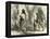 Conibos Man and Woman 1869, Peru-null-Framed Premier Image Canvas