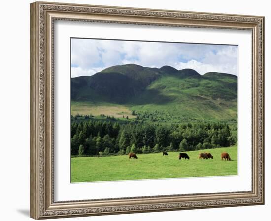 Conic Hill, Stirling, Central Region, Scotland, United Kingdom-Roy Rainford-Framed Photographic Print