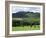 Conic Hill, Stirling, Central Region, Scotland, United Kingdom-Roy Rainford-Framed Photographic Print