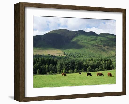 Conic Hill, Stirling, Central Region, Scotland, United Kingdom-Roy Rainford-Framed Photographic Print