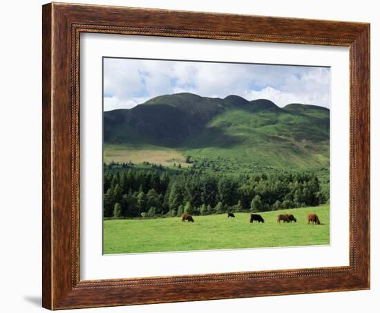 Conic Hill, Stirling, Central Region, Scotland, United Kingdom-Roy Rainford-Framed Photographic Print
