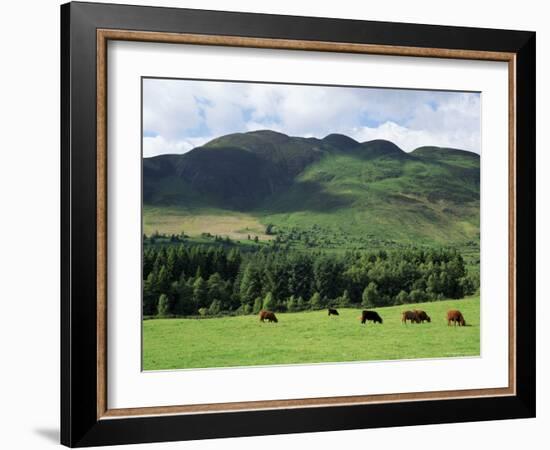 Conic Hill, Stirling, Central Region, Scotland, United Kingdom-Roy Rainford-Framed Photographic Print