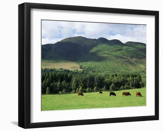 Conic Hill, Stirling, Central Region, Scotland, United Kingdom-Roy Rainford-Framed Photographic Print