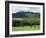 Conic Hill, Stirling, Central Region, Scotland, United Kingdom-Roy Rainford-Framed Photographic Print