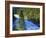 Conifer Forest Along River, Henrys Fork, Snake River, Targhee National Forest, Idaho, USA-Scott T. Smith-Framed Photographic Print