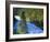 Conifer Forest Along River, Henrys Fork, Snake River, Targhee National Forest, Idaho, USA-Scott T. Smith-Framed Photographic Print