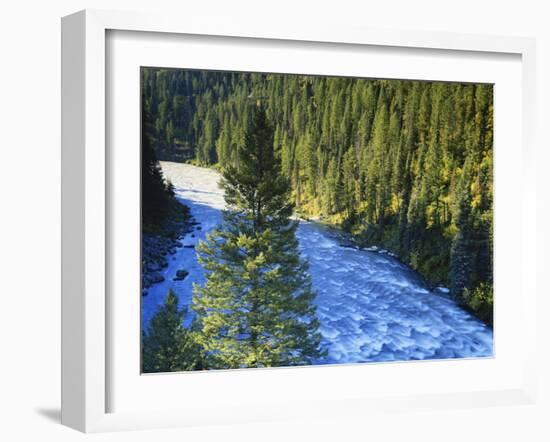 Conifer Forest Along River, Henrys Fork, Snake River, Targhee National Forest, Idaho, USA-Scott T. Smith-Framed Photographic Print