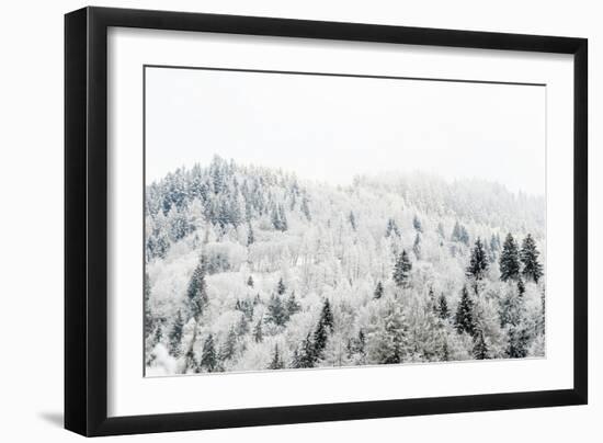 Conifer trees in the Austrian Alps dusted with snow, Austria, Europe-Alex Treadway-Framed Photographic Print