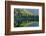 Conifers reflected in water, Tatra Mountains, Slovakia-Ross Hoddinott-Framed Photographic Print