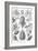 Conifers-Ernst Haeckel-Framed Art Print