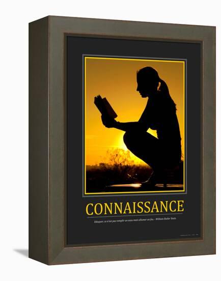 Connaissance (French Translation)-null-Framed Stretched Canvas