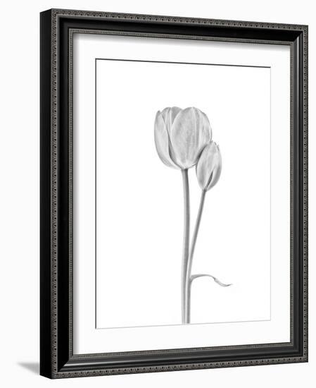 Connected-Lotte Grønkjær-Framed Photographic Print