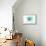 Connecticut - Scallop Shell - Teal - Coastal Icon-Lantern Press-Framed Stretched Canvas displayed on a wall