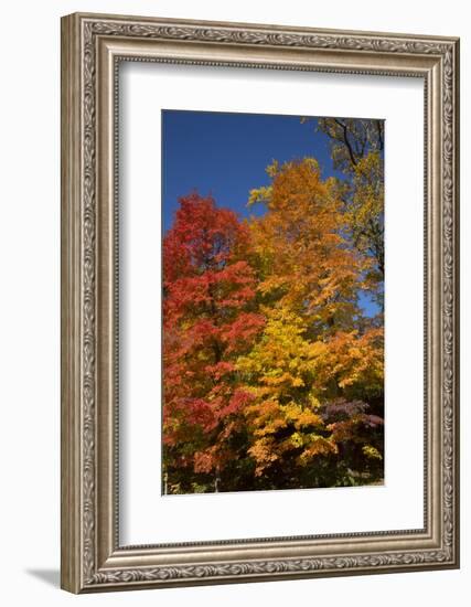 Connecticut Scenic-Lynn M^ Stone-Framed Photographic Print