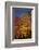 Connecticut Scenic-Lynn M^ Stone-Framed Photographic Print