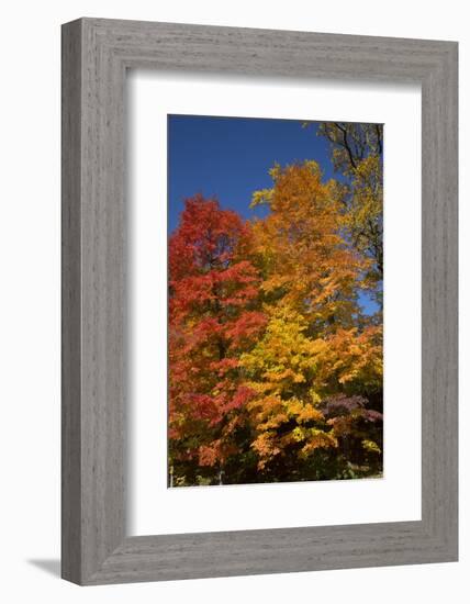 Connecticut Scenic-Lynn M^ Stone-Framed Photographic Print