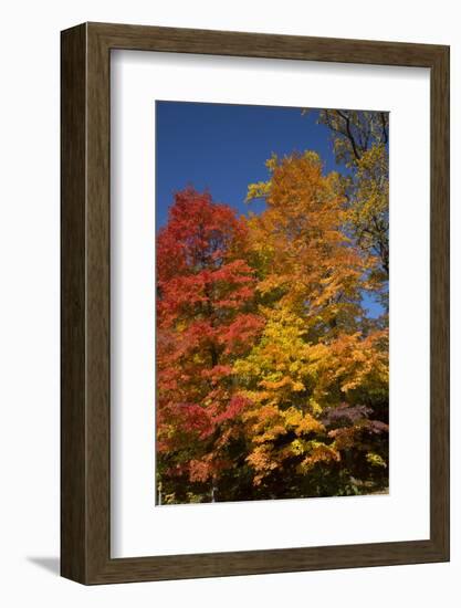 Connecticut Scenic-Lynn M^ Stone-Framed Photographic Print