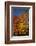 Connecticut Scenic-Lynn M^ Stone-Framed Photographic Print