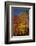 Connecticut Scenic-Lynn M^ Stone-Framed Photographic Print