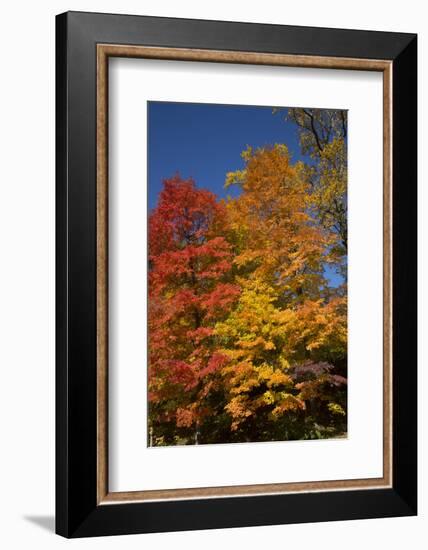 Connecticut Scenic-Lynn M^ Stone-Framed Photographic Print