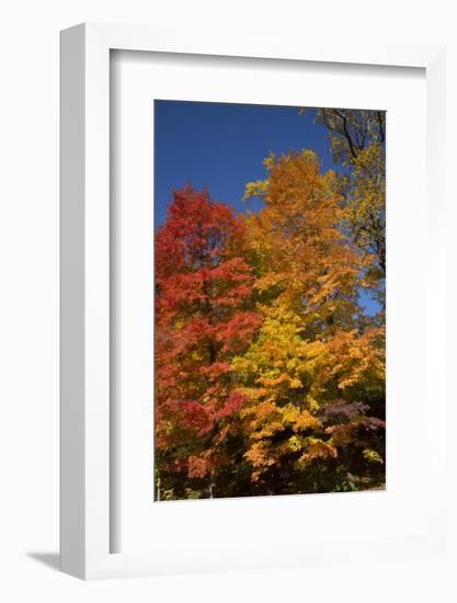 Connecticut Scenic-Lynn M^ Stone-Framed Photographic Print