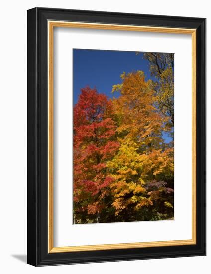 Connecticut Scenic-Lynn M^ Stone-Framed Photographic Print