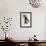 Connecticut Warbler-John James Audubon-Framed Art Print displayed on a wall