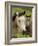 Connemara Ponies, County Galway, Connacht, Republic of Ireland (Eire), Europe-Gary Cook-Framed Photographic Print