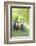 Connemara Pony, Mare with Foal, Belt, Head-On, Running, Looking at Camera-David & Micha Sheldon-Framed Photographic Print