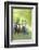 Connemara Pony, Mare with Foal, Belt, Head-On, Running, Looking at Camera-David & Micha Sheldon-Framed Photographic Print