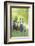 Connemara Pony, Mare with Foal, Belt, Head-On, Running, Looking at Camera-David & Micha Sheldon-Framed Photographic Print